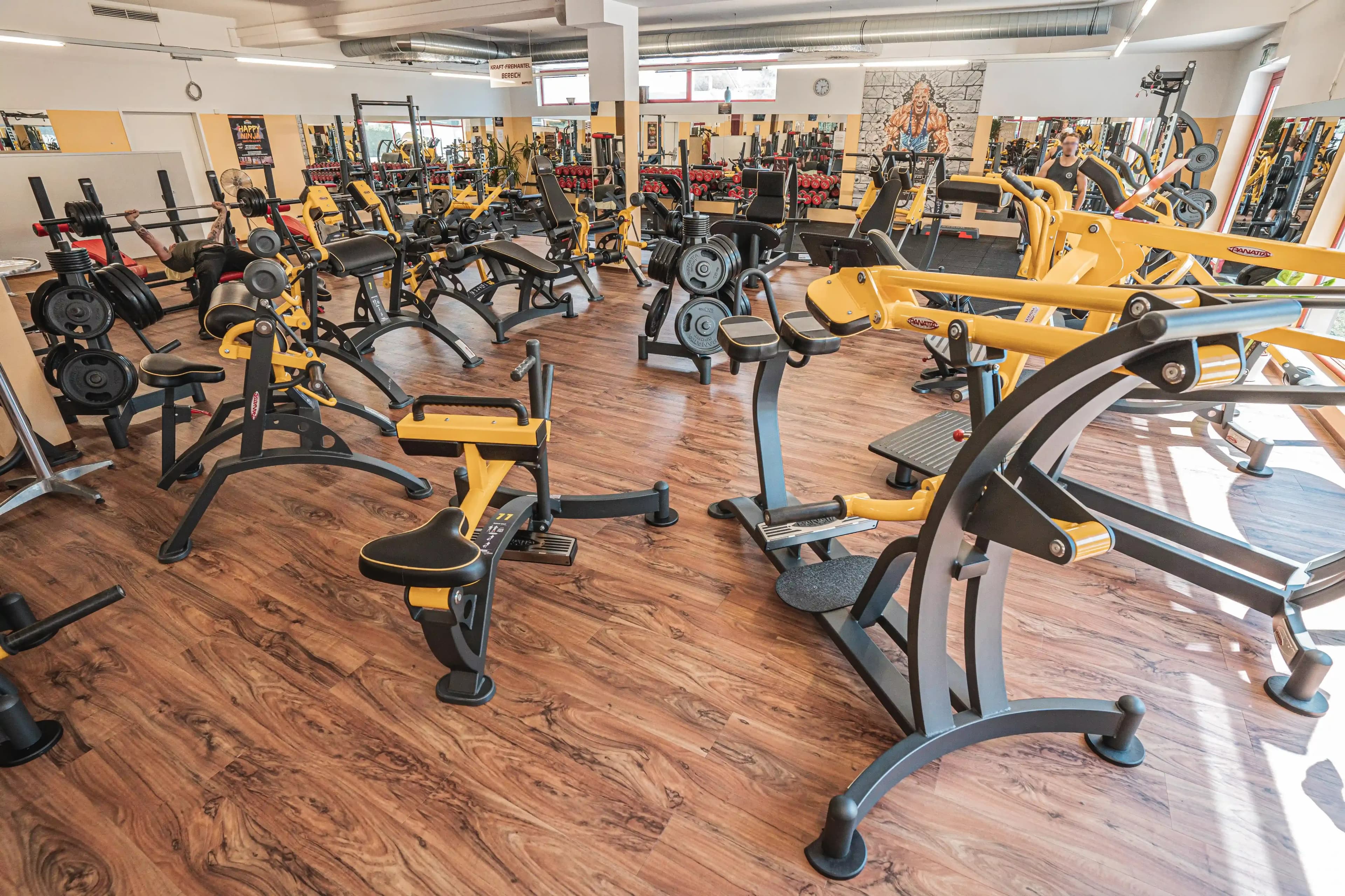 Marchtrenk Studiofoto Nr5