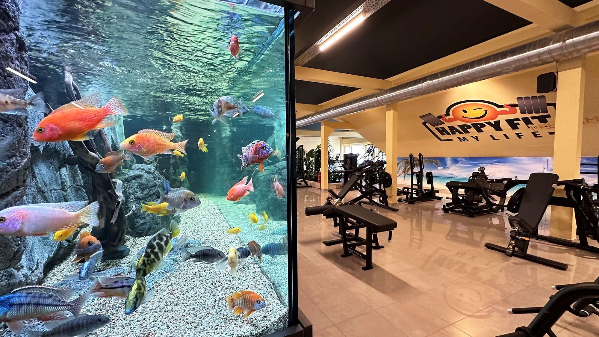 Wilhelmsburg Studiofoto Nr5