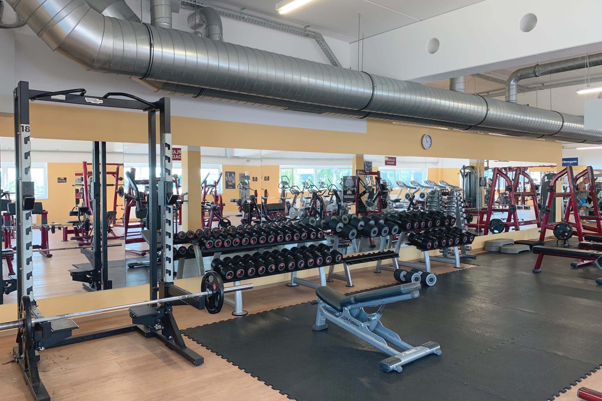 HappyFit Walding Trainingsfläche