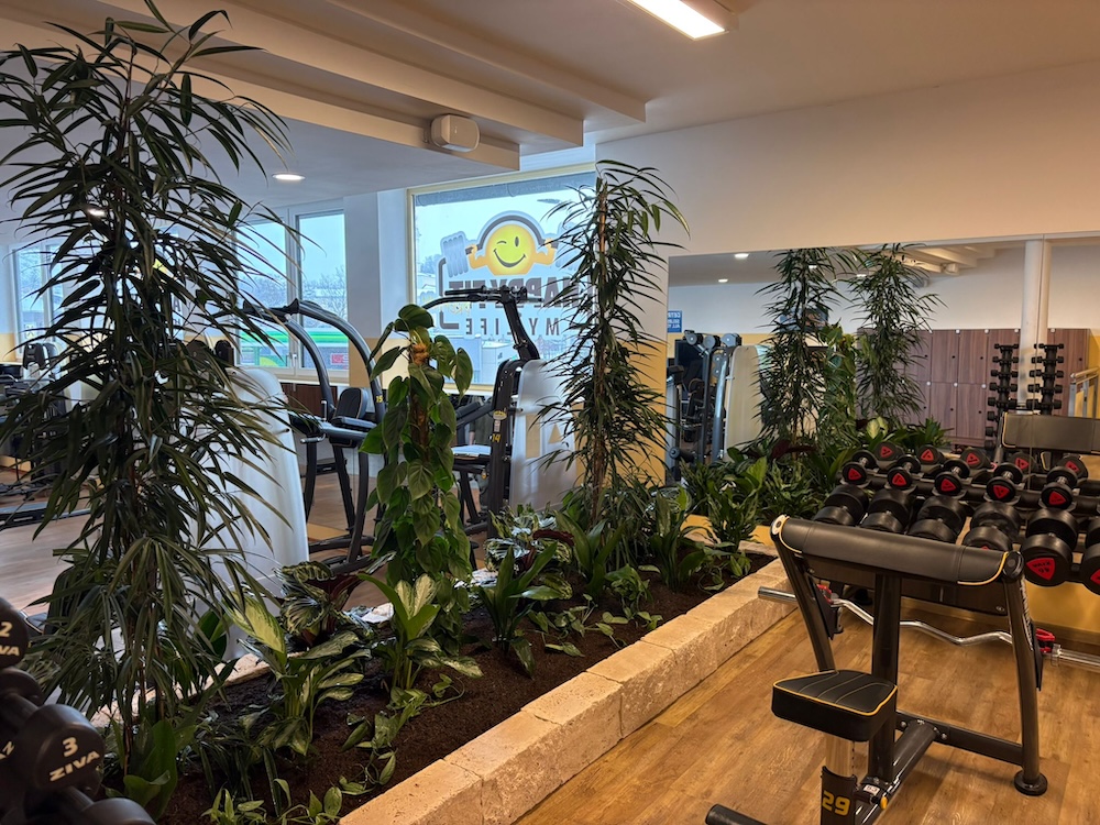 Aigen Schlägl Pflanzeninsel HappyFit