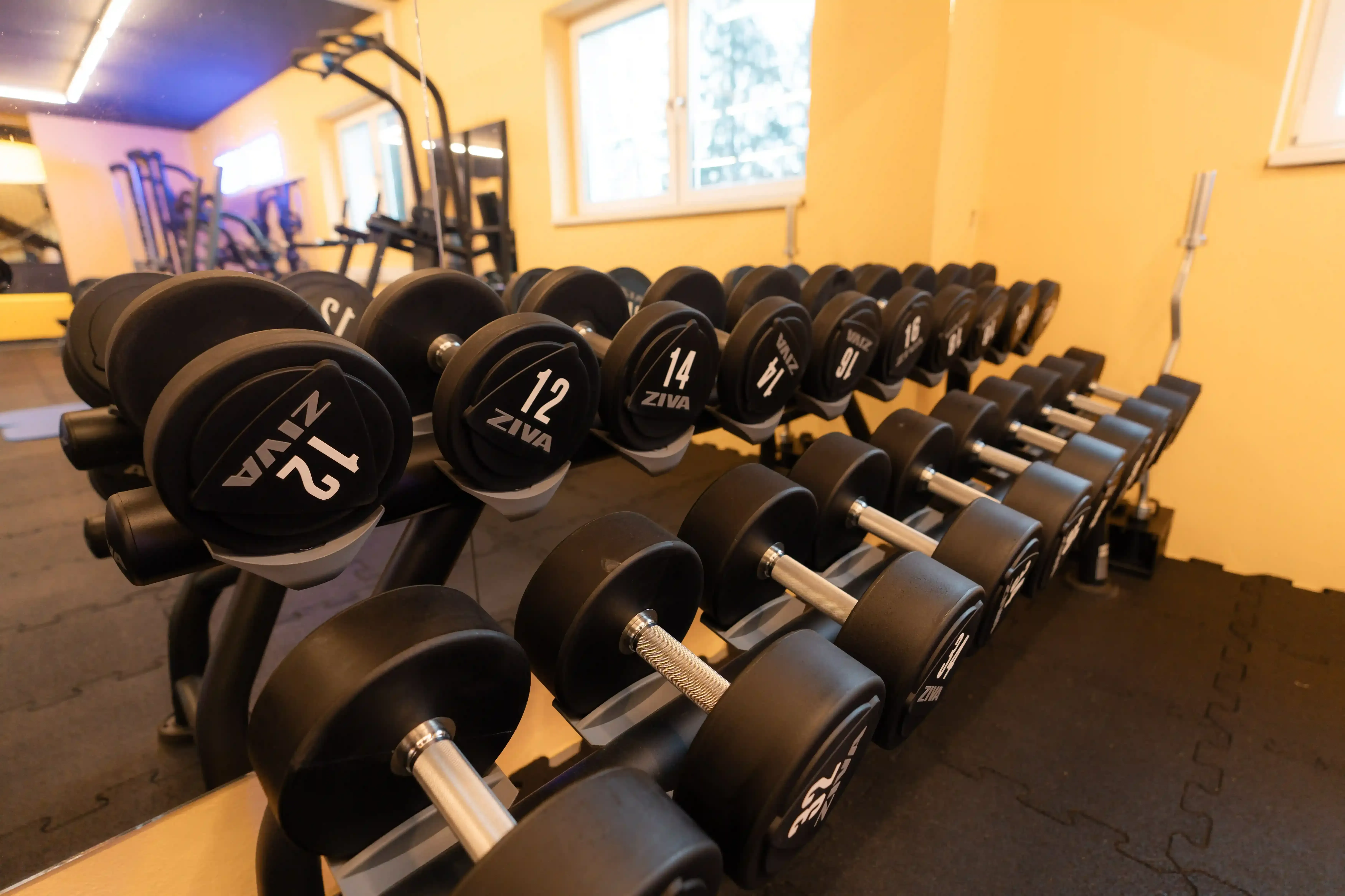 Stkonrad Studiofoto Nr52