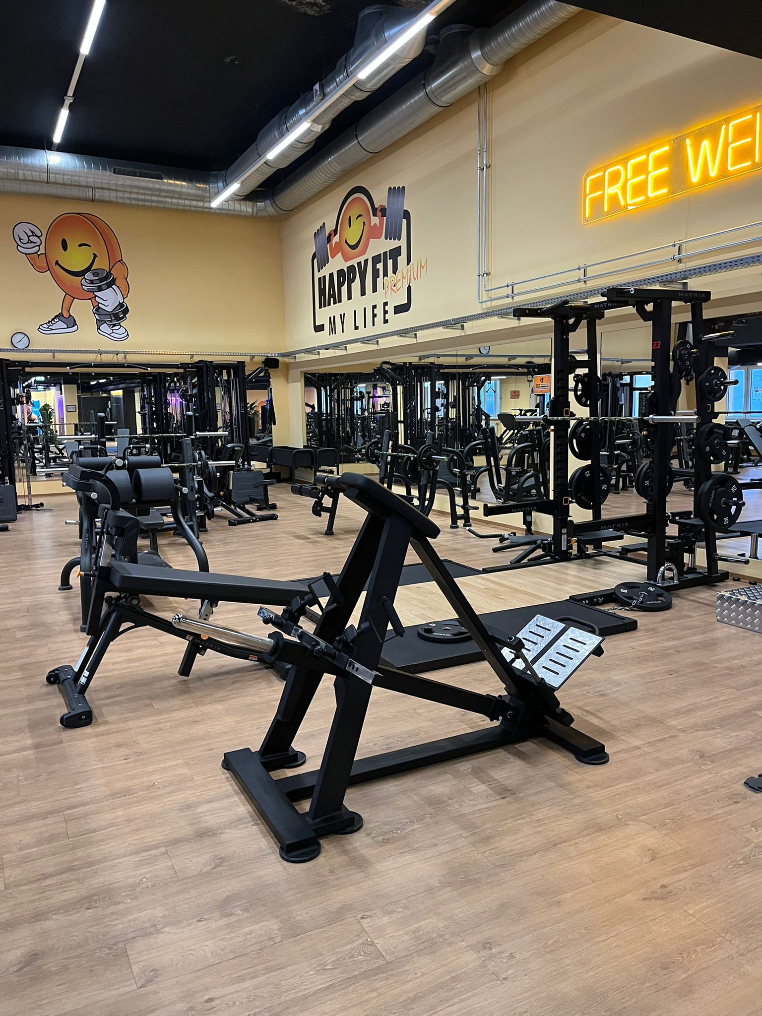 T-Bar Row HappyFit Amstetten