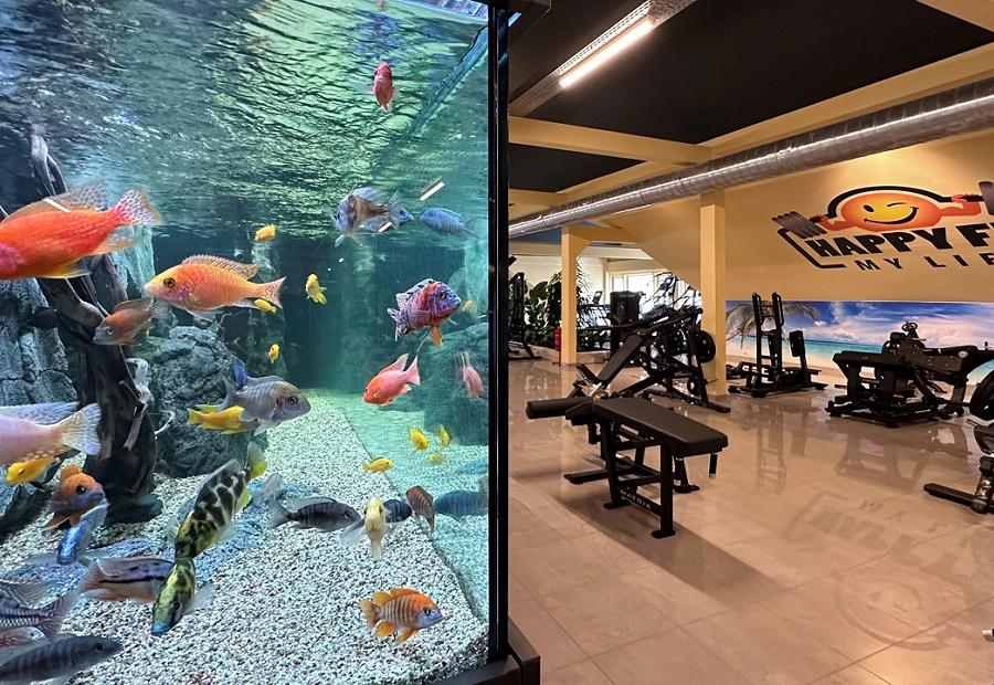 Impression Wilhelmsburg